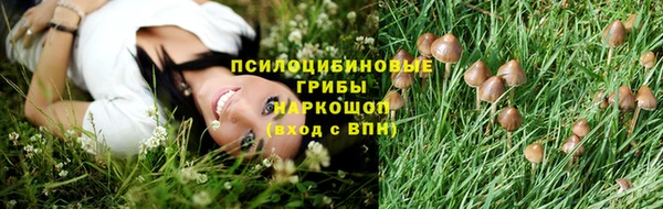 первитин Ельня