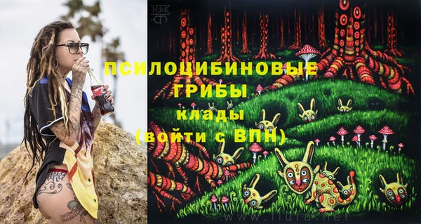 каннабис Алзамай