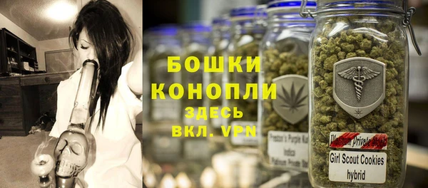 PSILOCYBIN Елизово