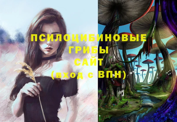 каннабис Алзамай