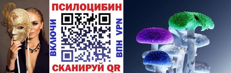 kraken онион  Малаховка  Галлюциногенные грибы мицелий 